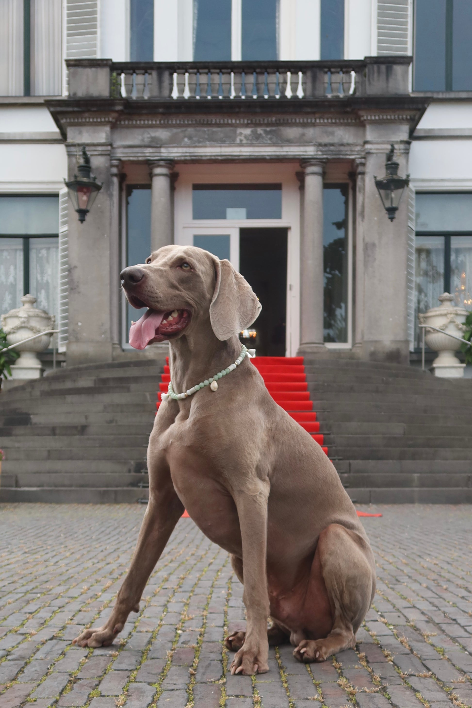 EM-X tekenketting Groen