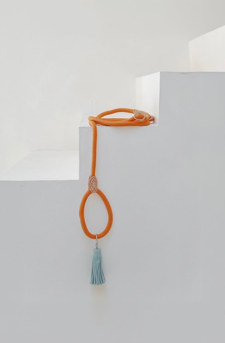 Sliplijn Oranje Ø1,4 cm met gekleurd kwastje