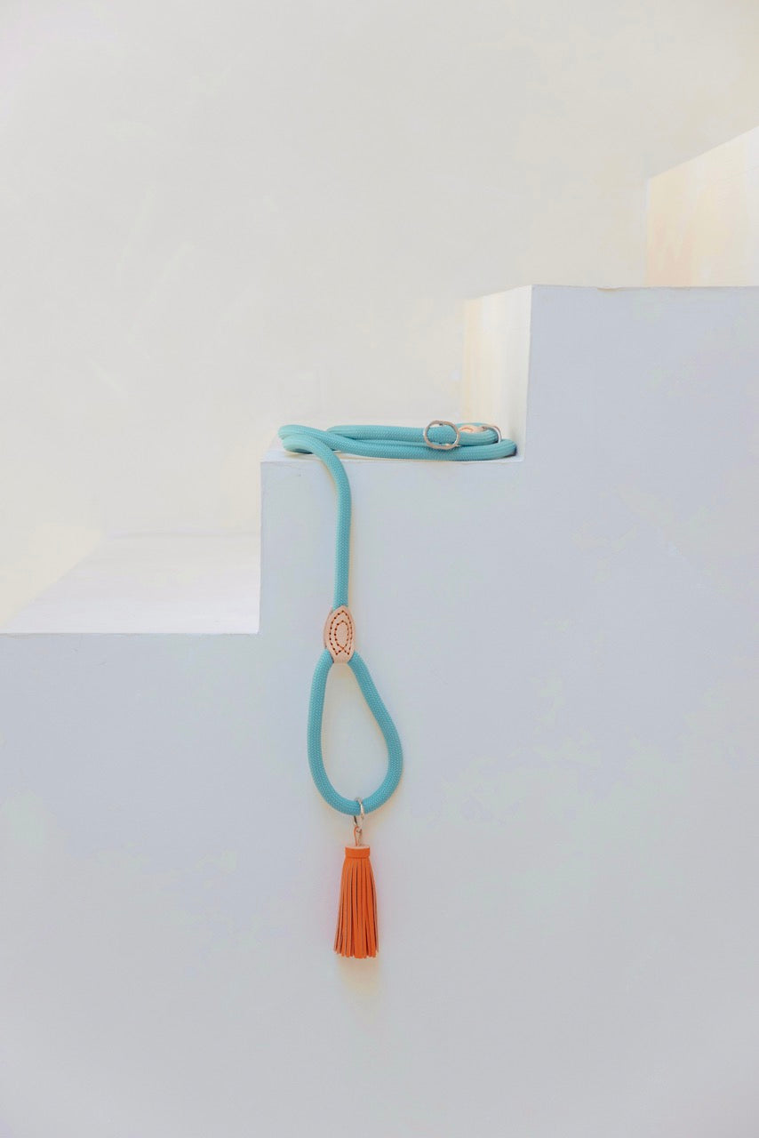 Sliplijn Turquoise Ø0,8 cm met gekleurd kwastje